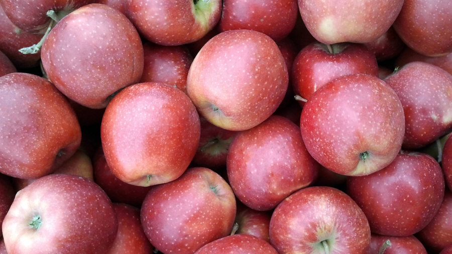 Exportador polaco de frutas, manzanas, peras, ciruelas, cerezas, mayorista Polonia 02