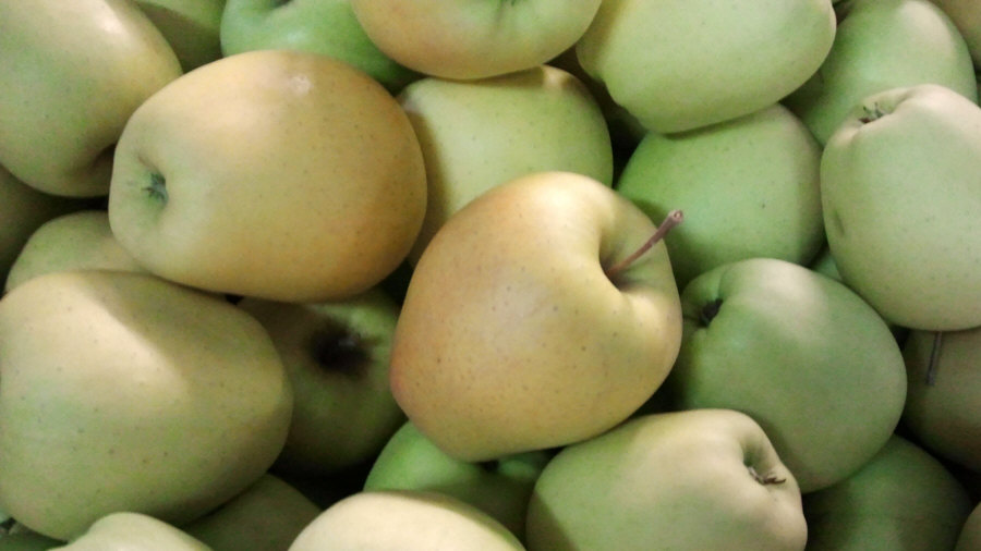 Exportador polaco de frutas, manzanas, peras, ciruelas, cerezas, mayorista Polonia 02