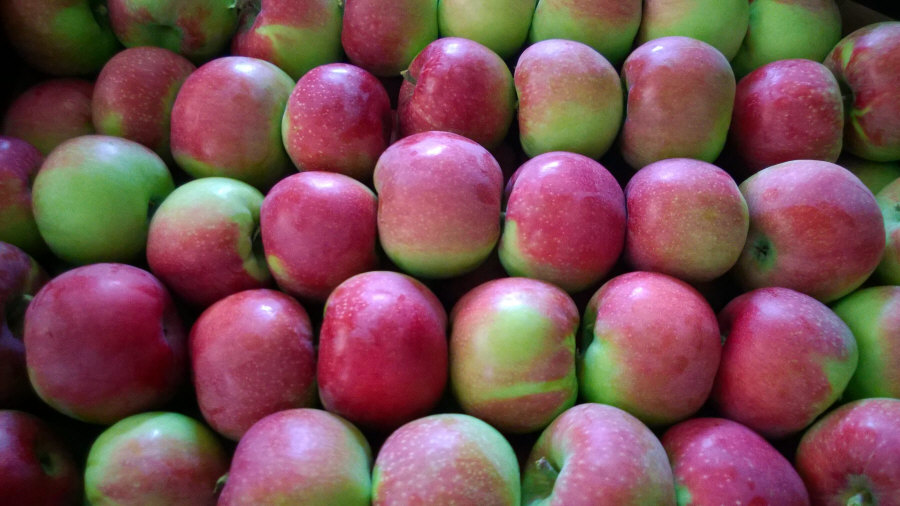 Exportador polaco de frutas, manzanas, peras, ciruelas, cerezas, mayorista Polonia 01